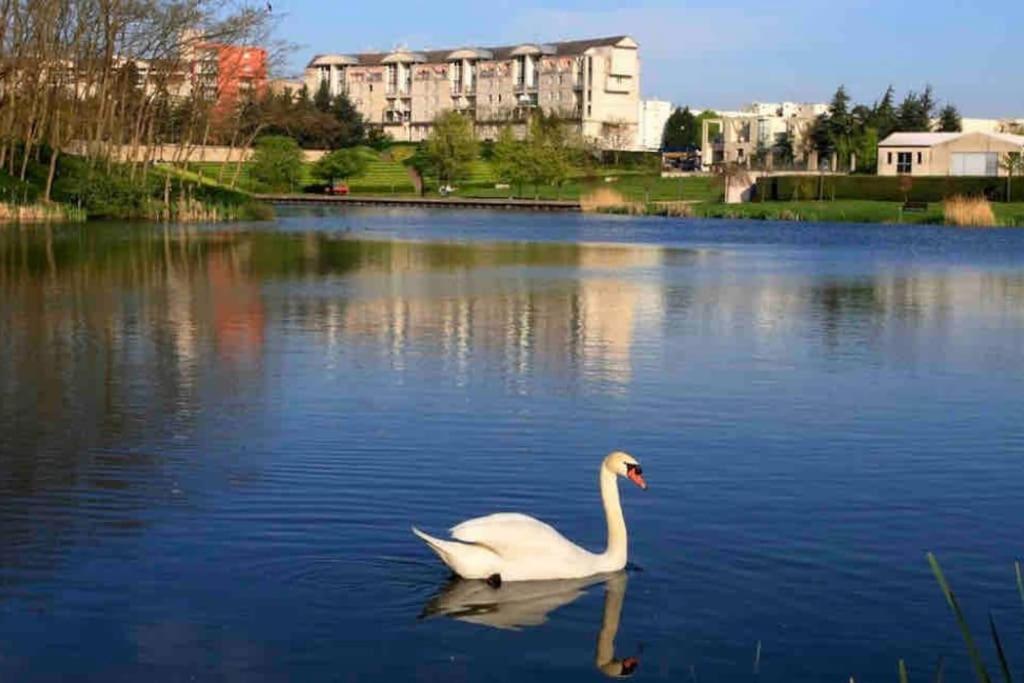 2 Mins from Train Station - Free Parking - Paris & DisneyLand - Lognes