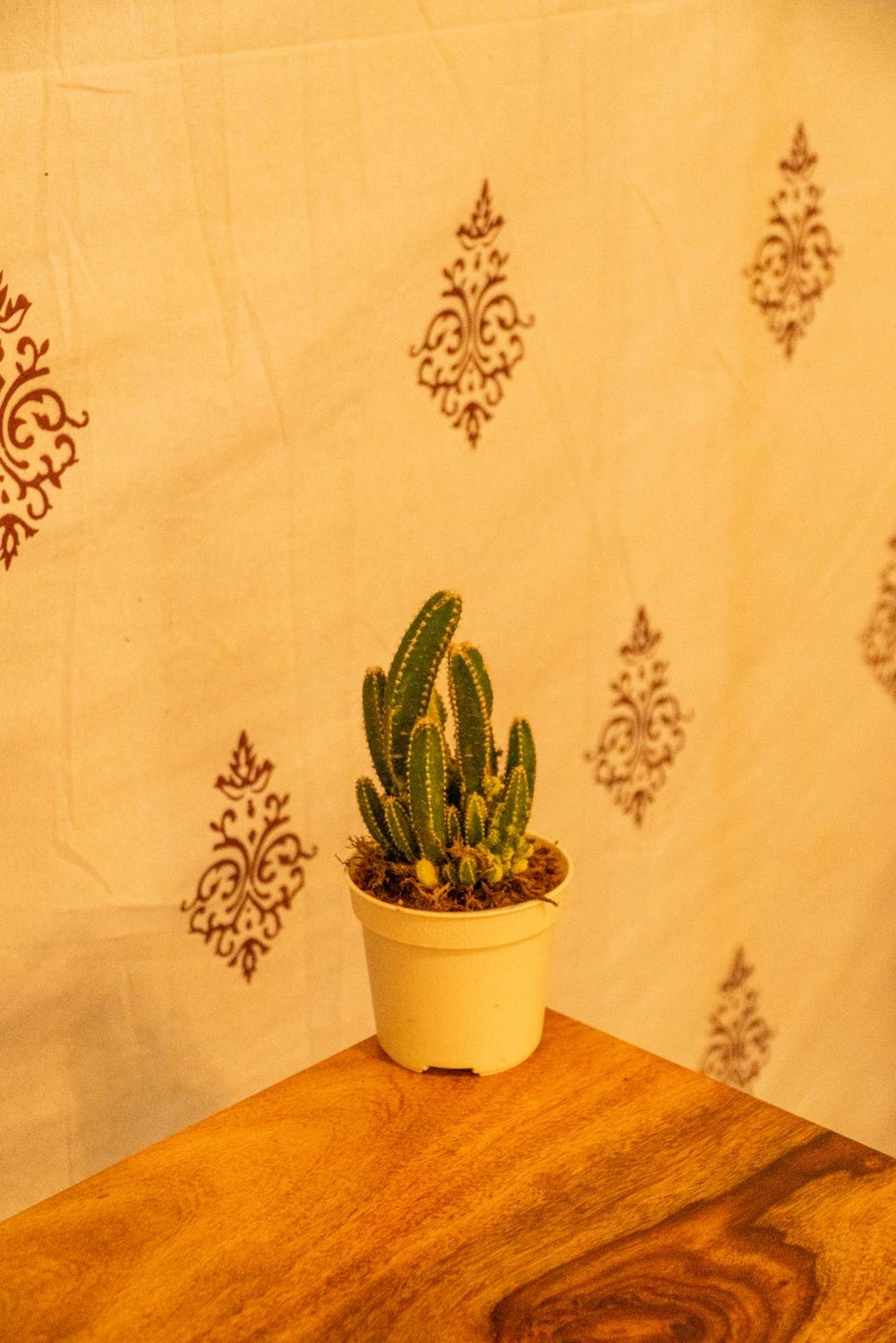 Photo 45