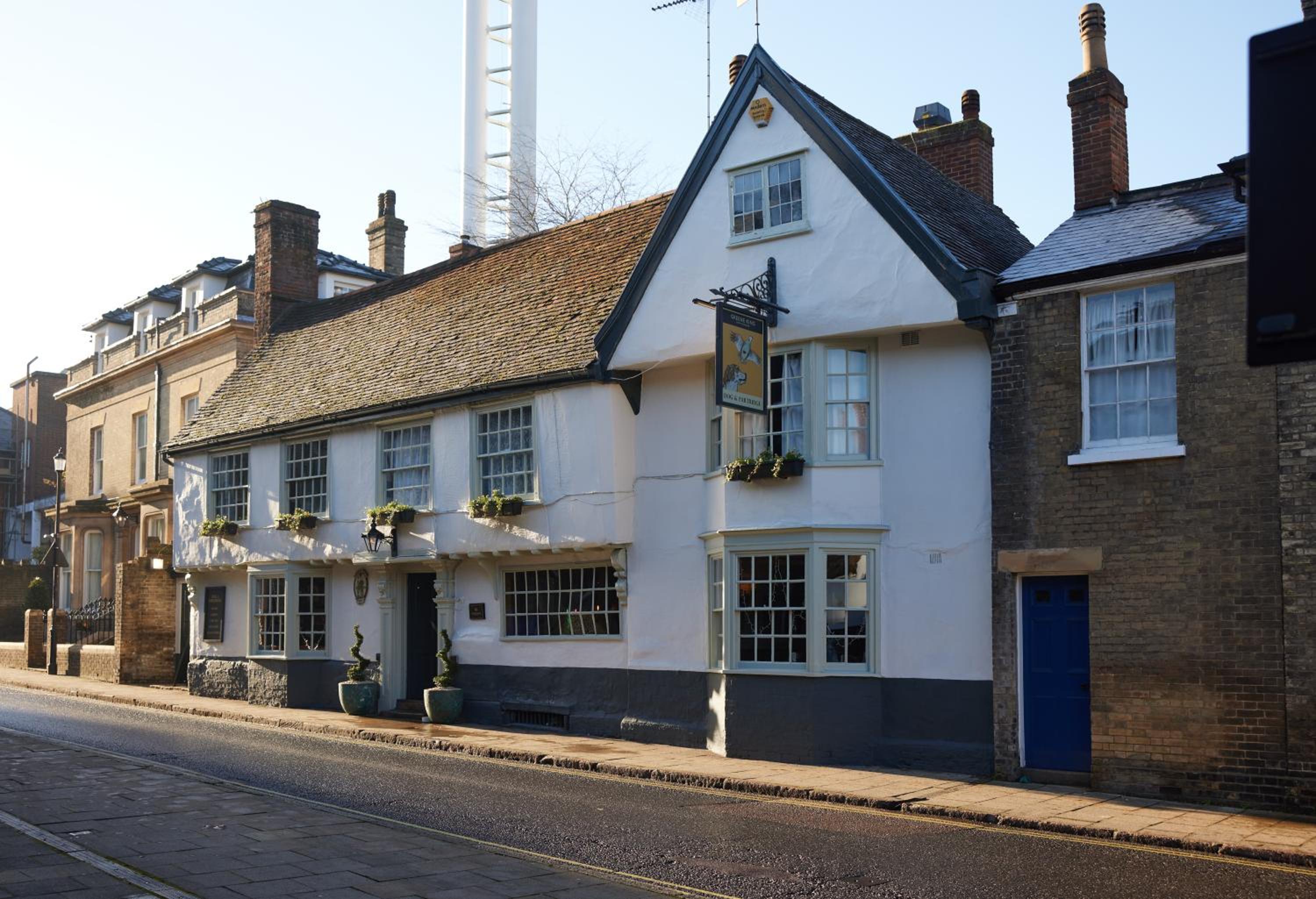 Dog and Partridge by Greene King Inns