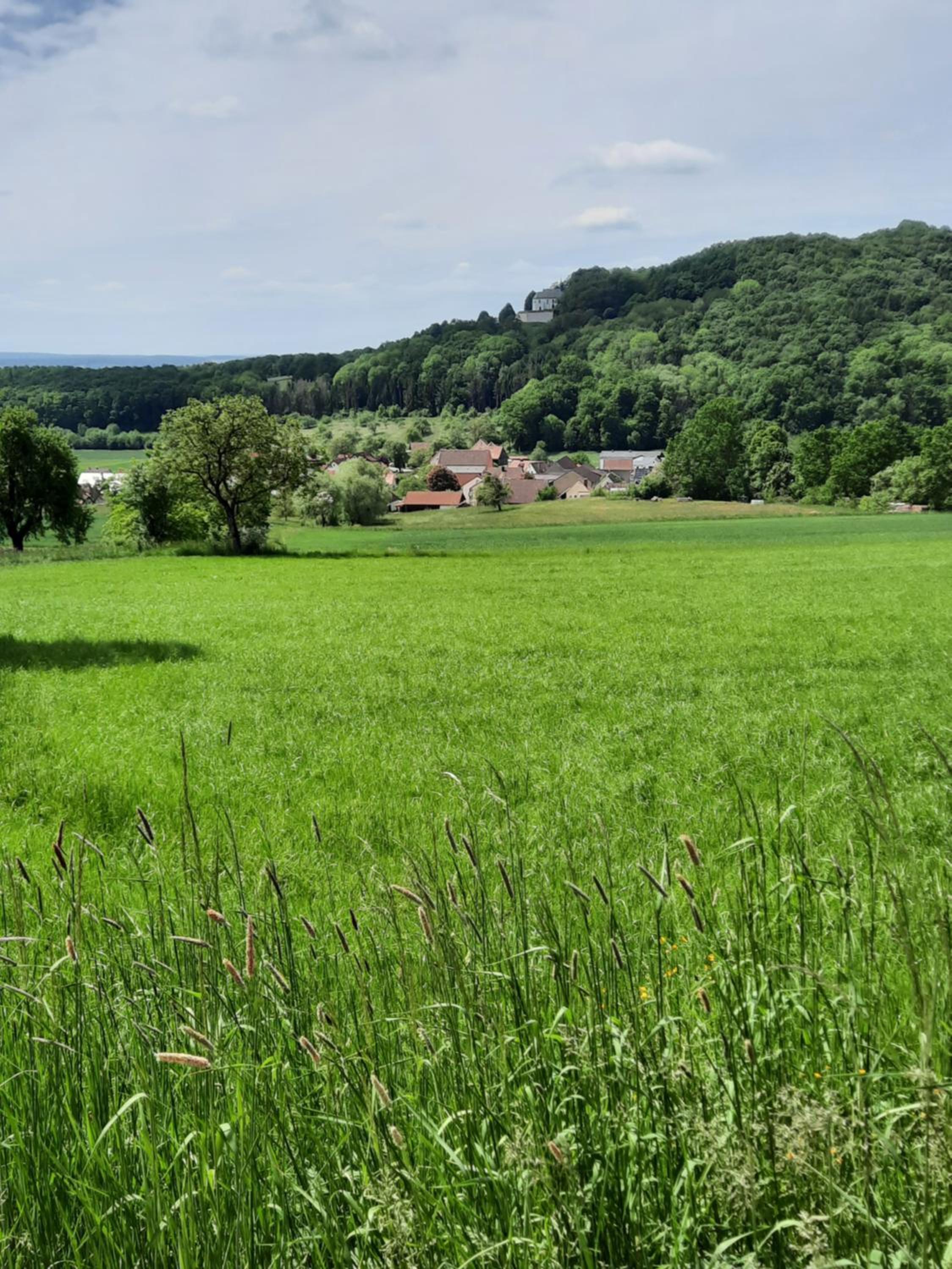 FeWo Zieger - Urlaub in Franken