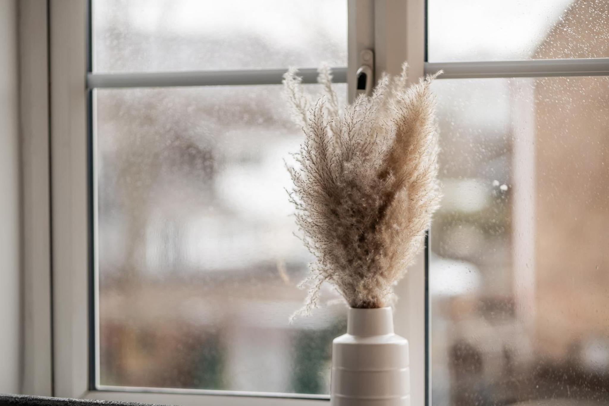 Brecon Gardens