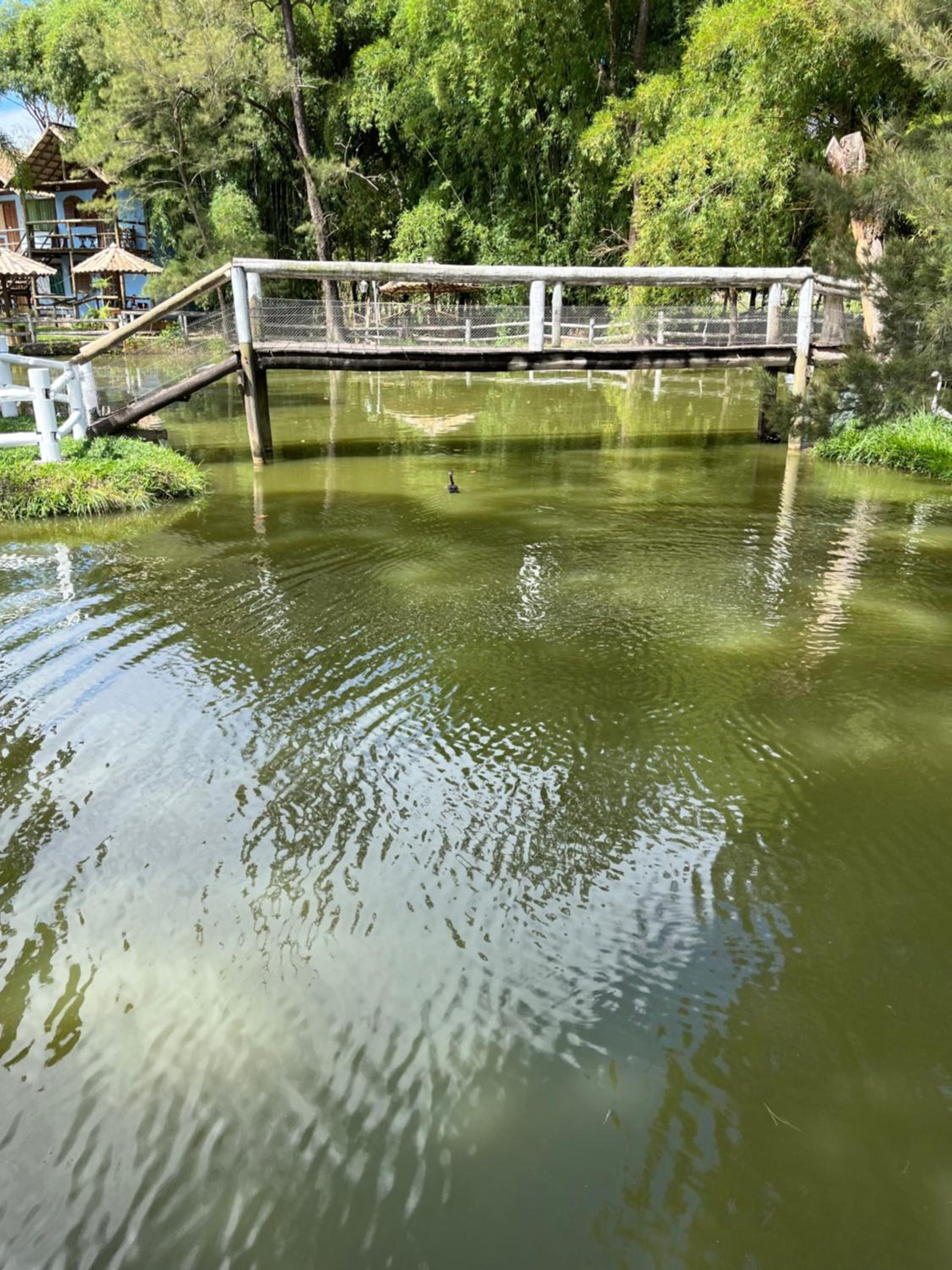 Pousada Recanto dos Cisnes