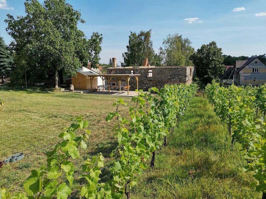 Geltschberg Happy Cottage