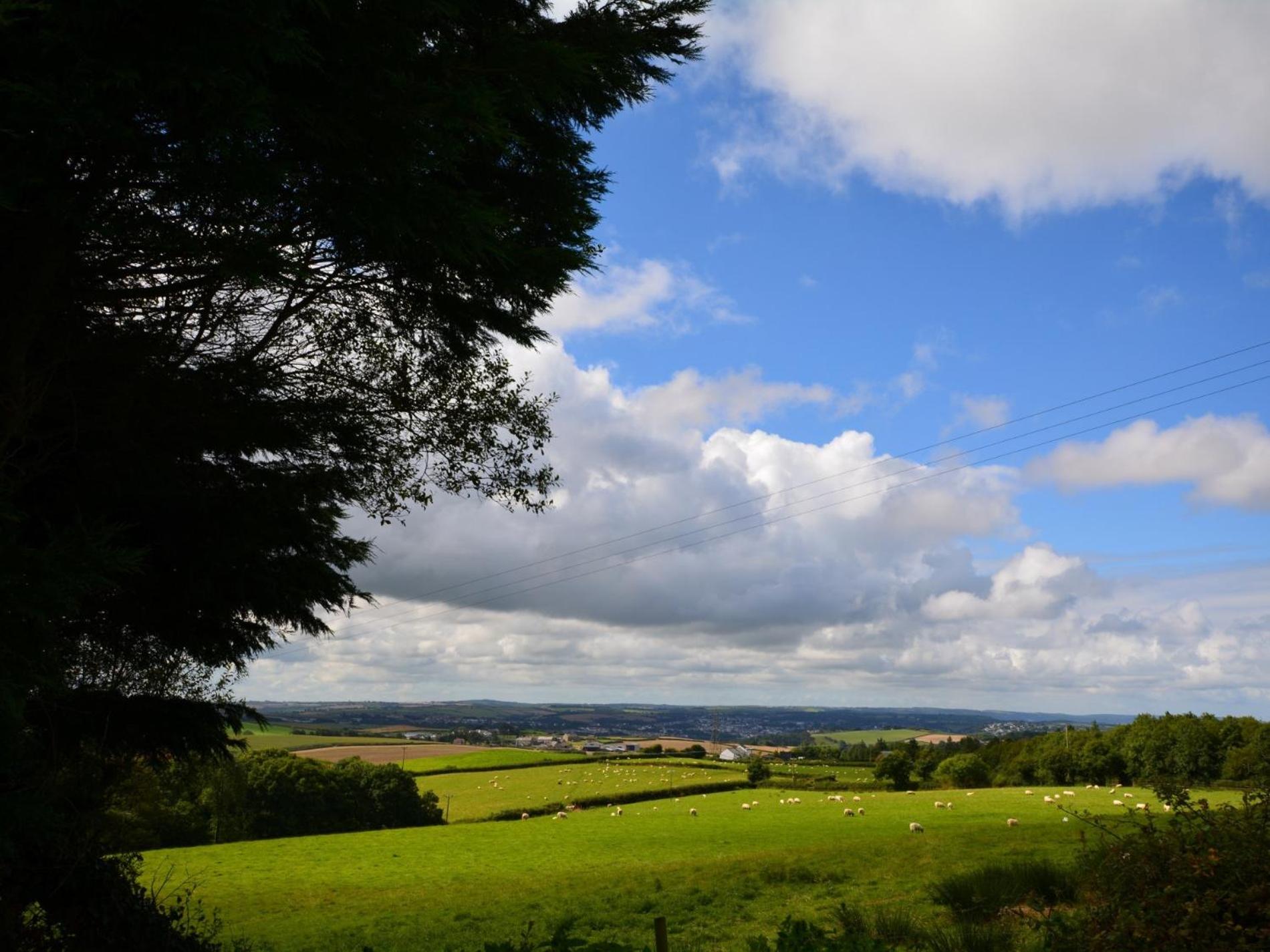2 Bed in Bideford oc-infob view 2