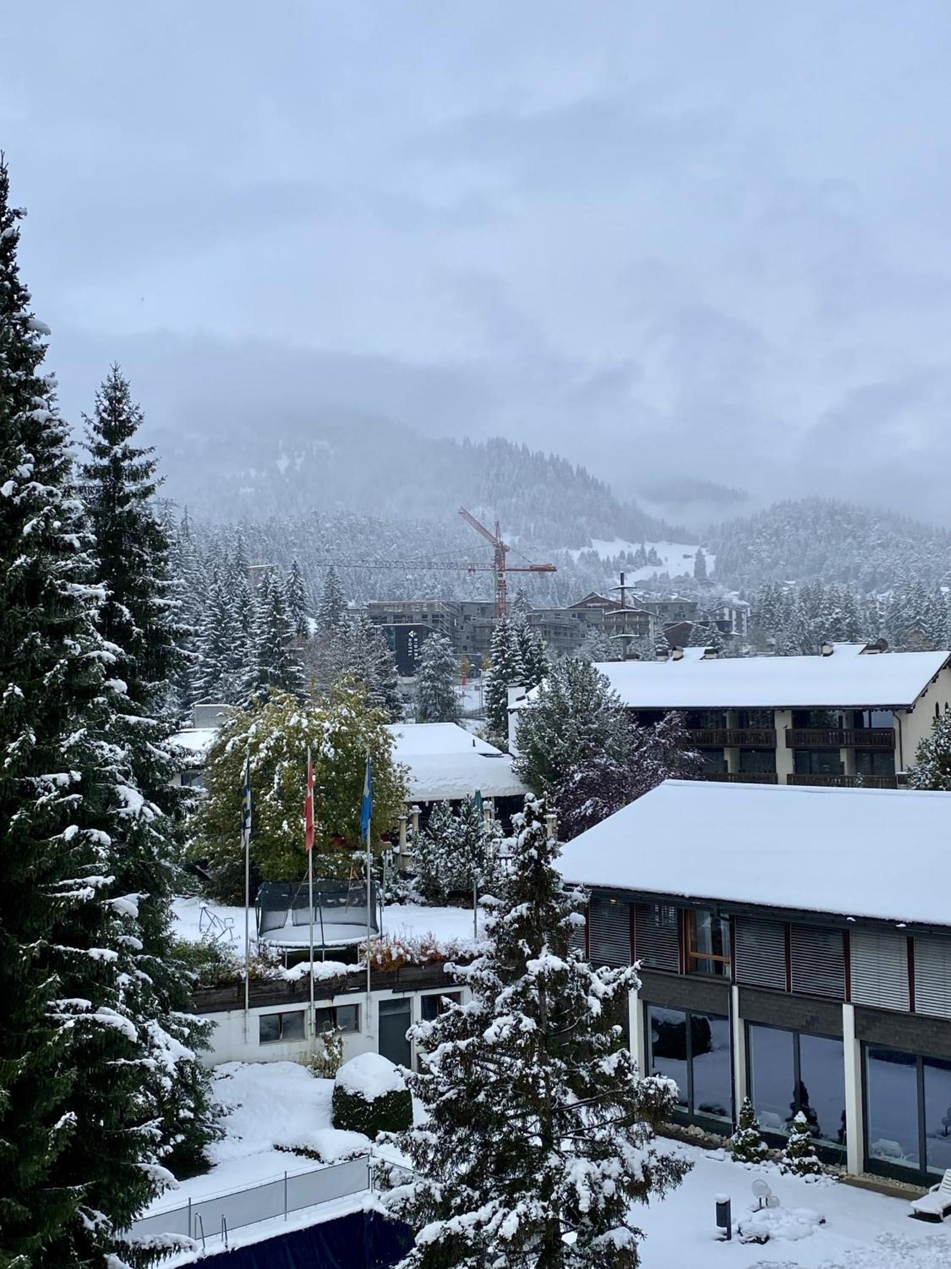 LAAX Homes Rancho 445