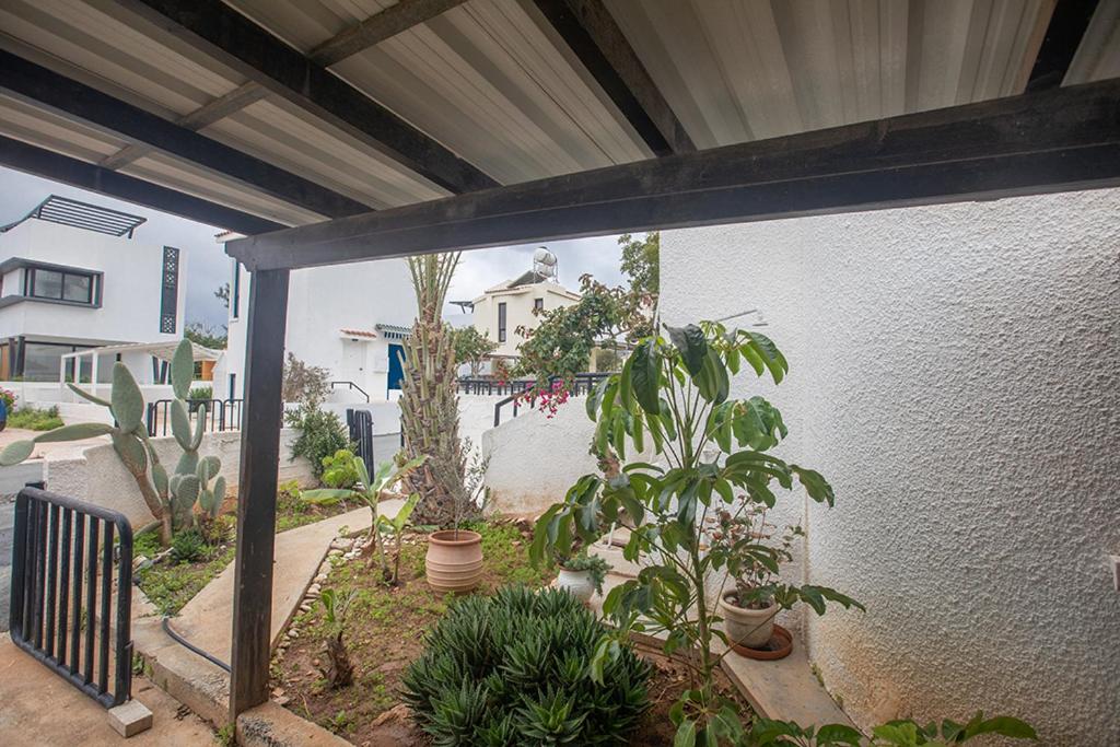 Peaceful Cozy Home Great Location