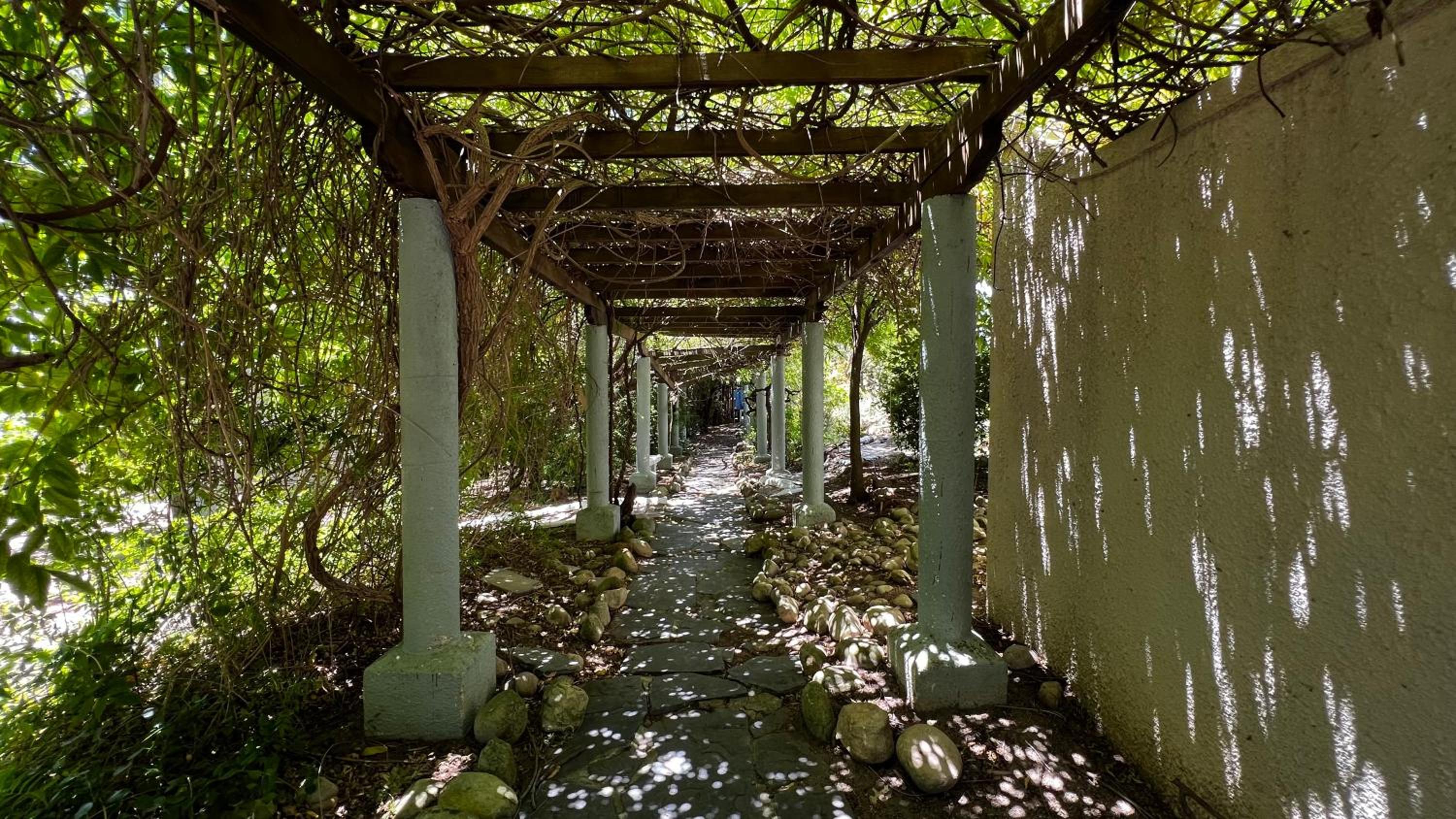 In the Vine Country Manor Guesthouse