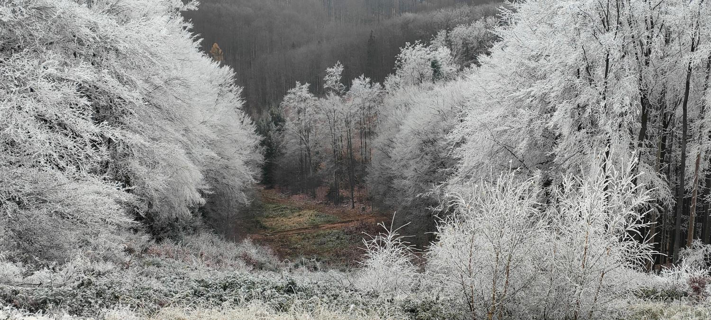 Penzion Tesák-ČERŇAVA