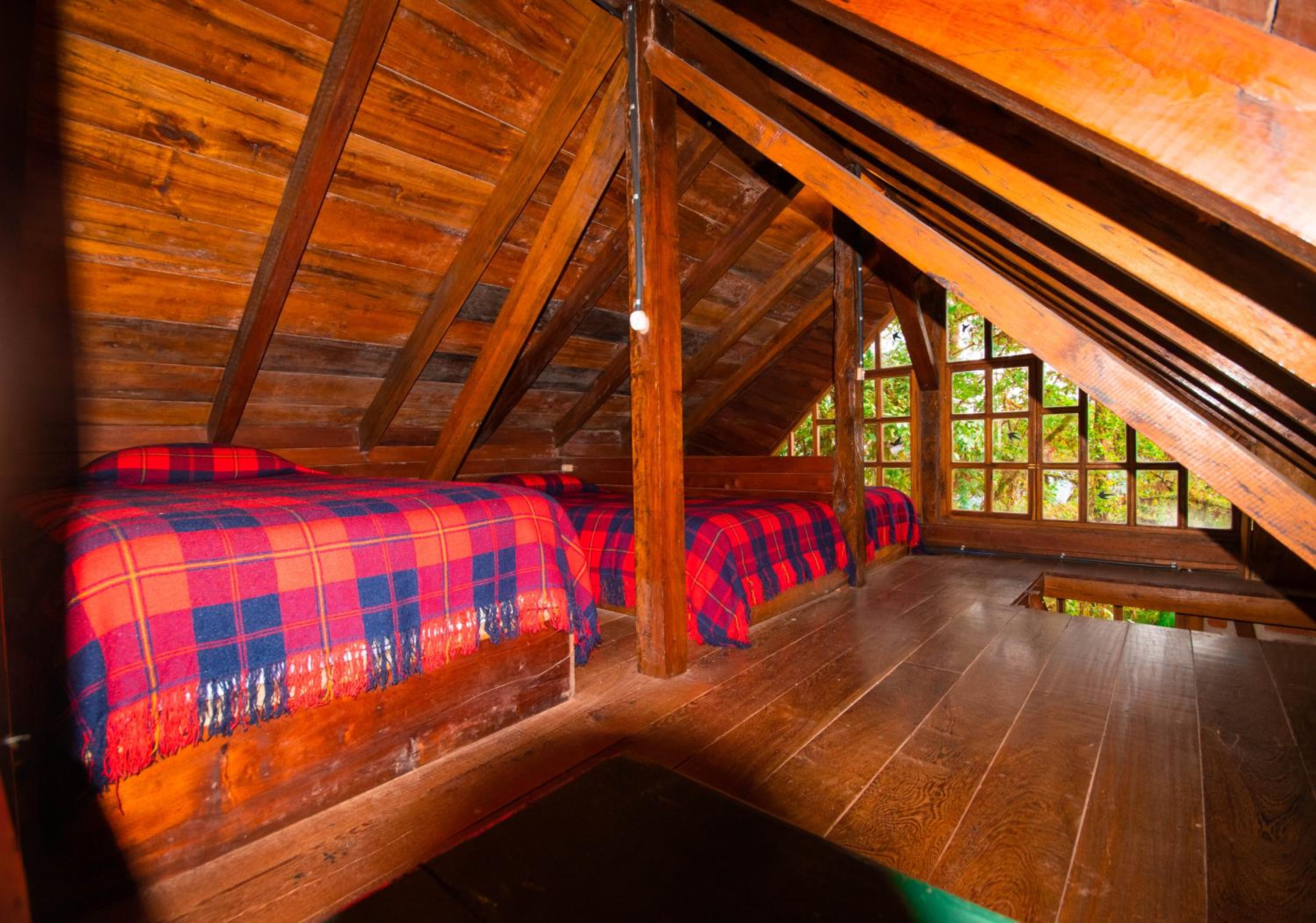 Bellavista Cloud Forest Lodge & Private Protected Area