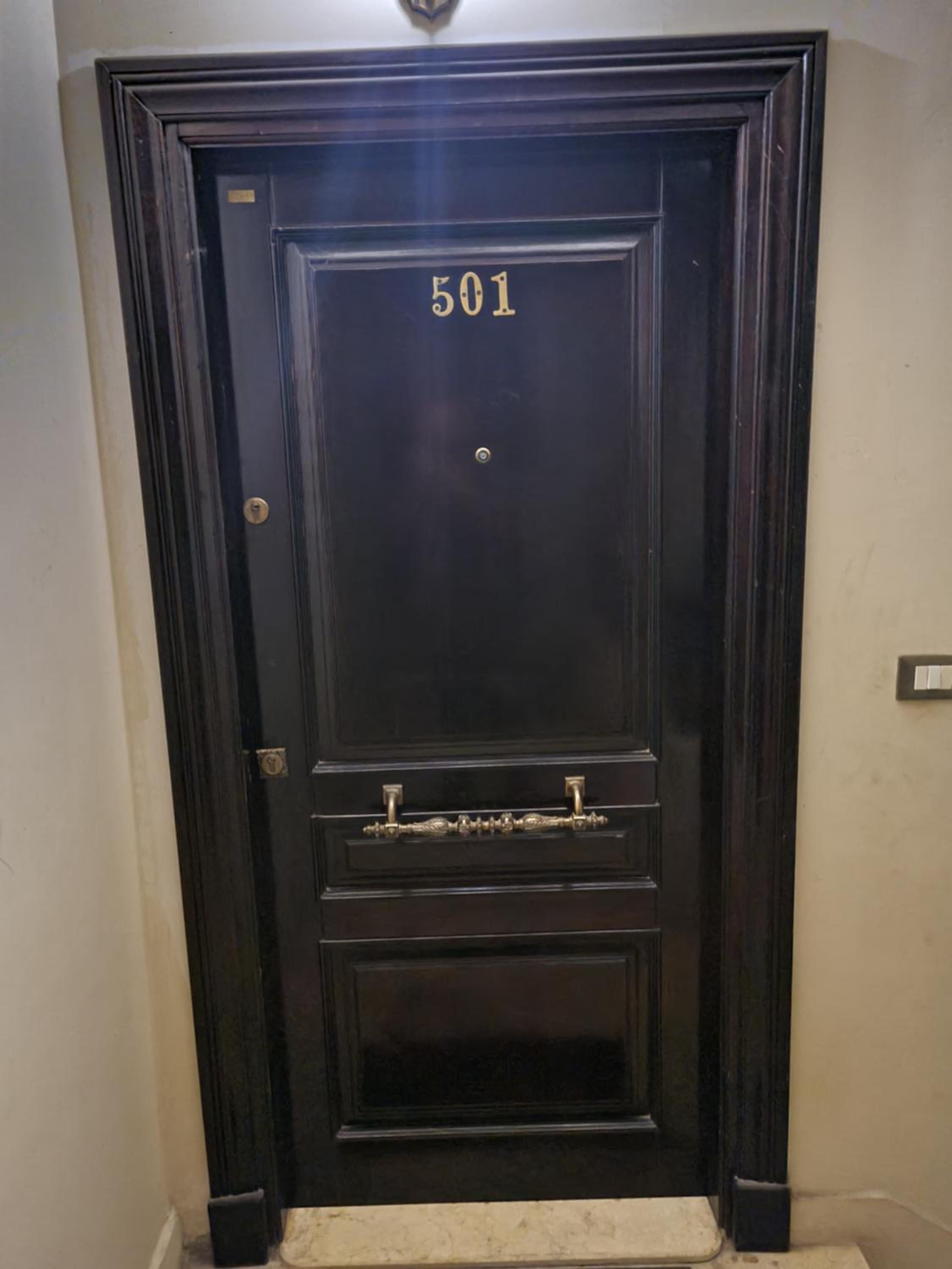 luxury Apartment - Smouha view 3