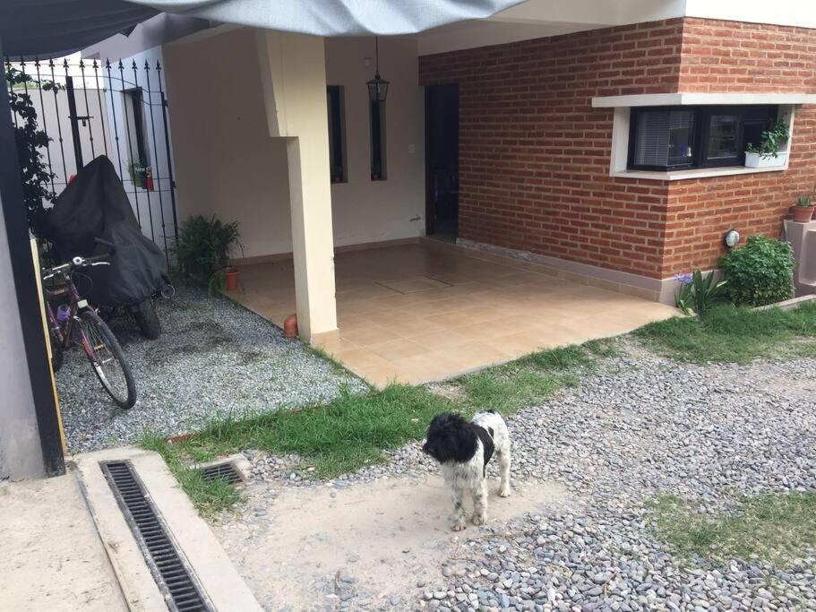 CASA DUPLEX CON PILETA/QUINCHO