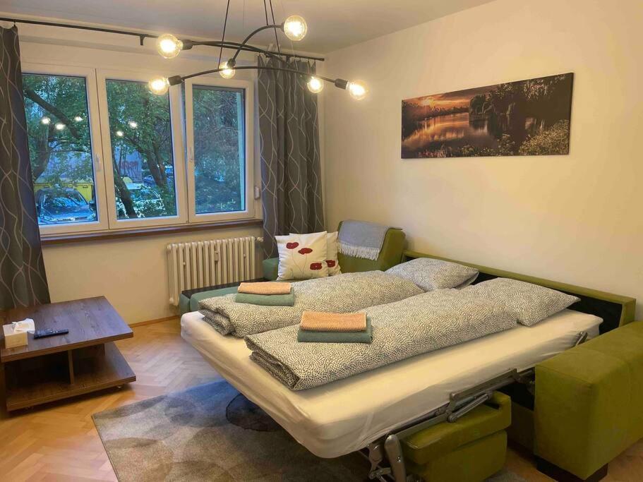 New spacious one-room apartment view 5