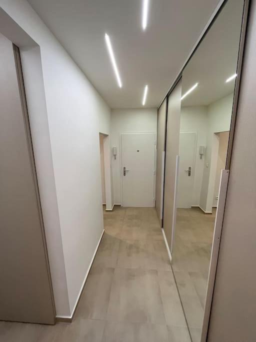 New spacious one-room apartment view 2