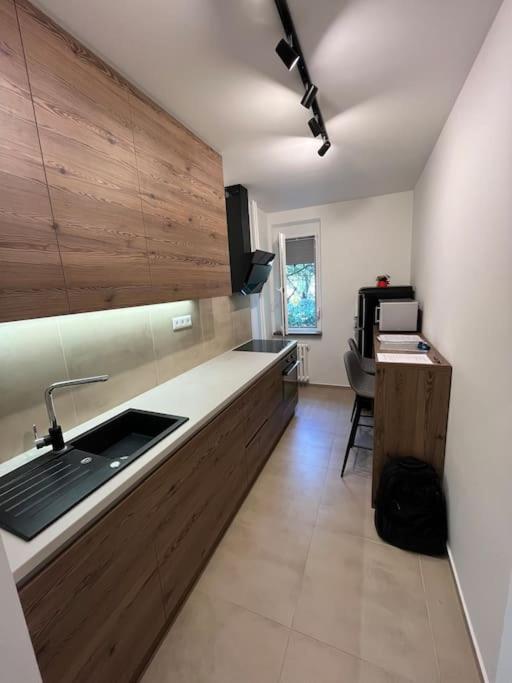 New spacious one-room apartment view 3