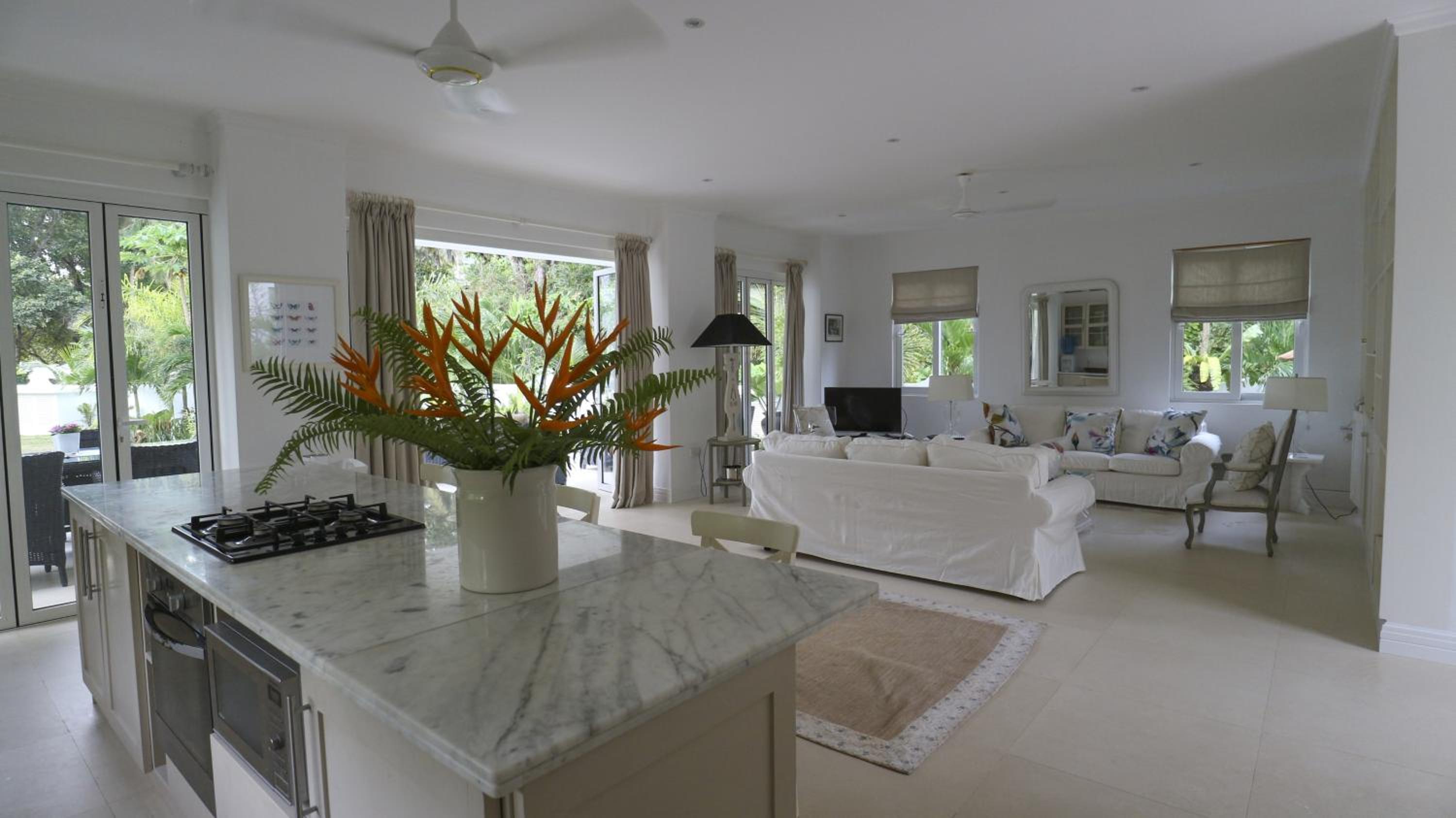 Villa Blanc - Chateau Elysium