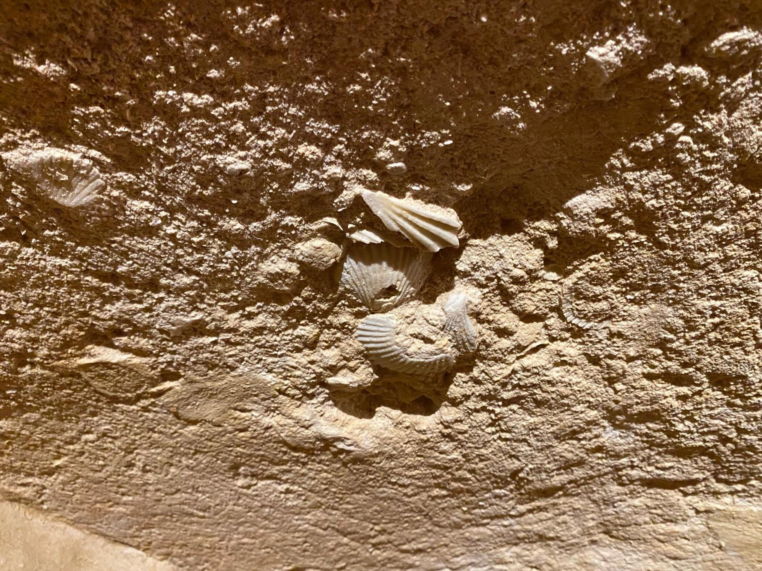 Suite San Biagio nei sassi
