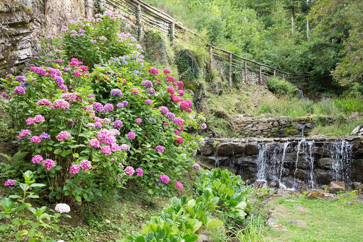 Agriturismo Molinvecchio