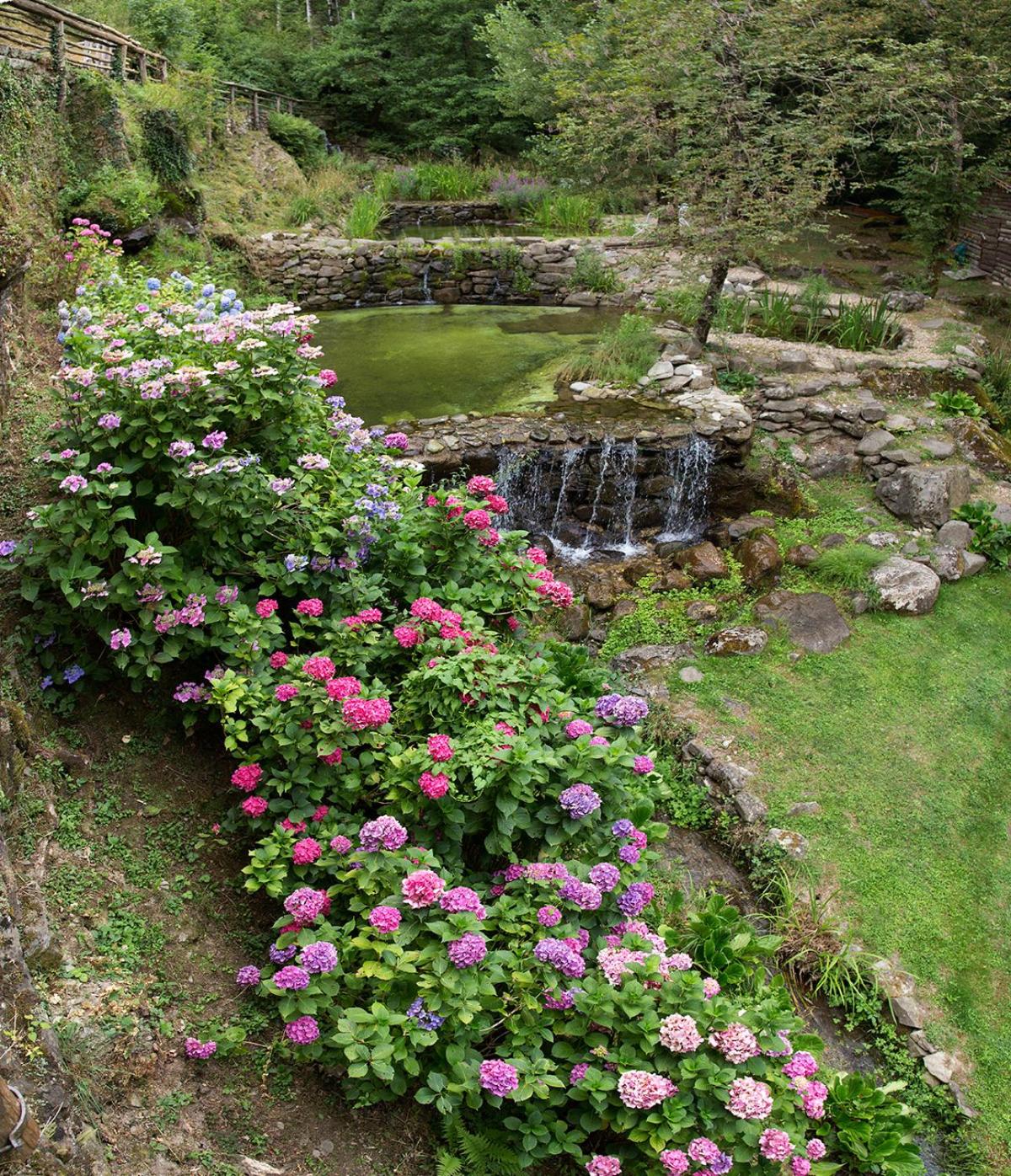 Agriturismo Molinvecchio