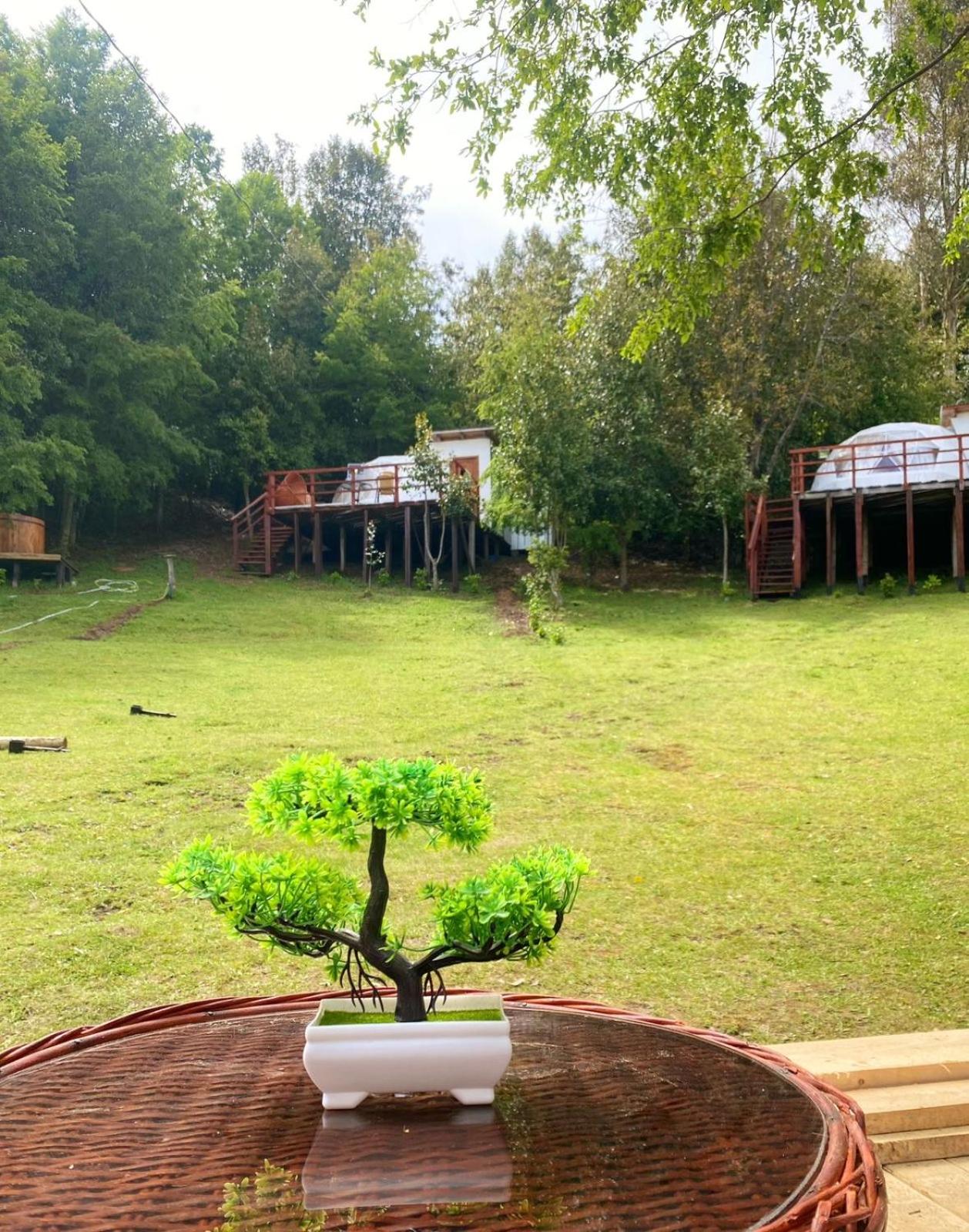 Nativa Glamping
