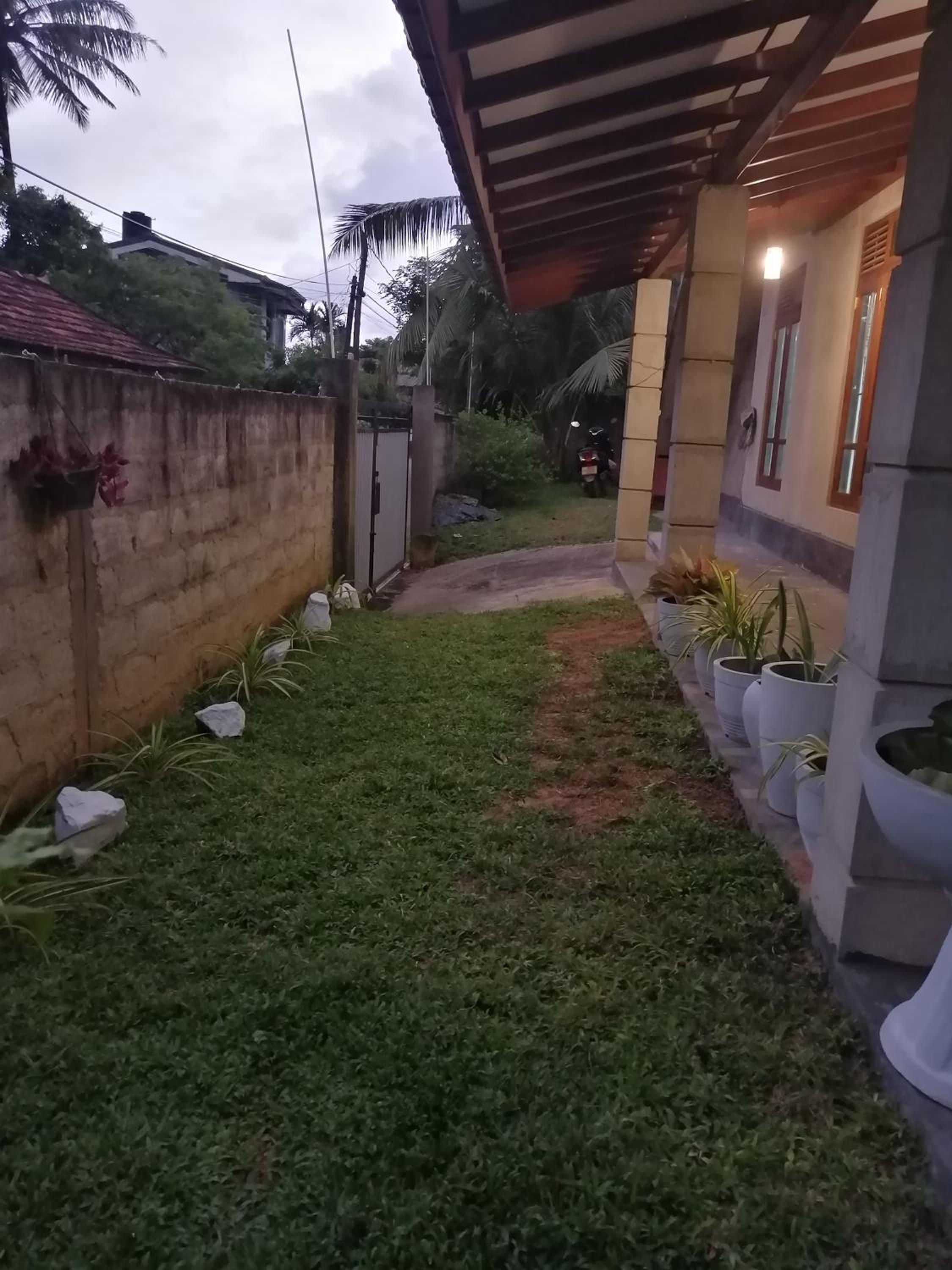 Butterfly Garden Mirissa view 2