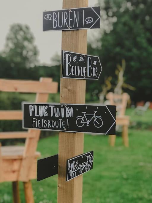 De Pluktuin