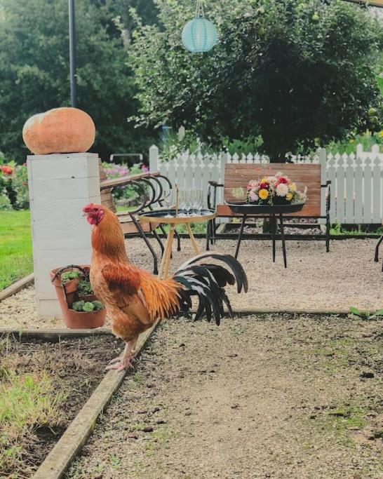 De Pluktuin