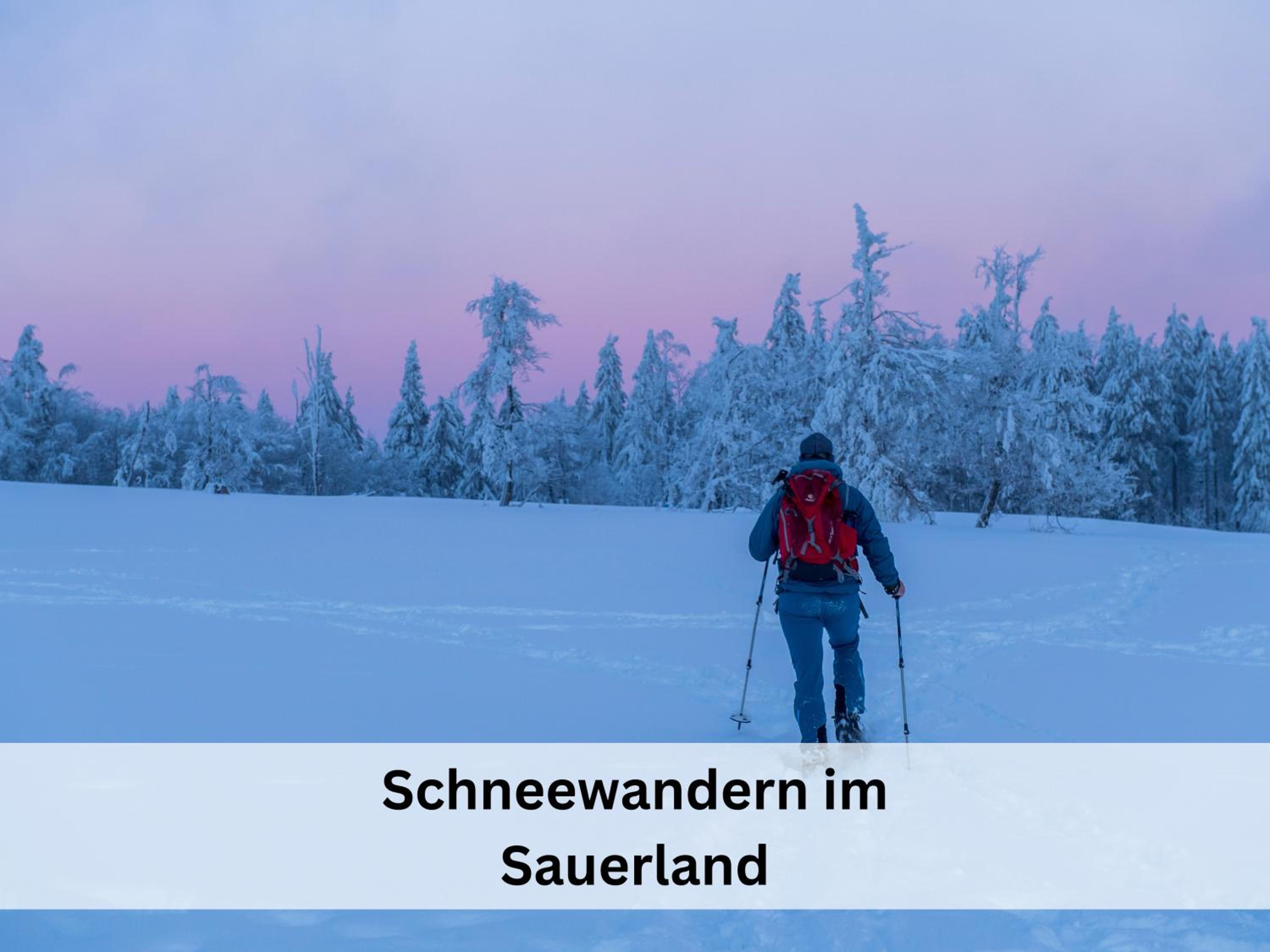 Ferienhaus Pape - 300m2, 17 Betten - mit großem privatem Garten, Pool, Dart, Sauna-, Grill- und Spielbereich - Ideal für Familien
