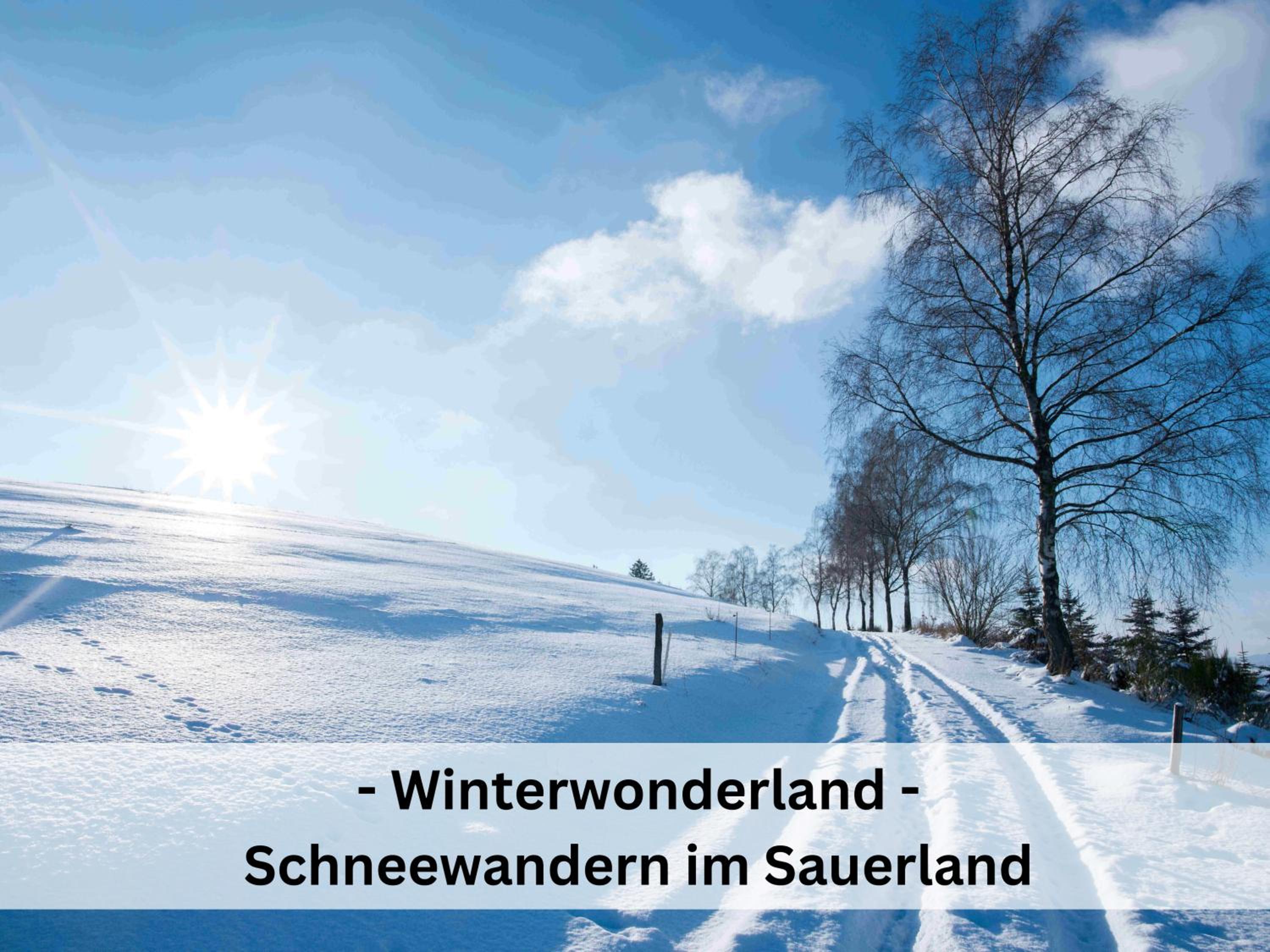 Ferienhaus Pape - 300m2, 17 Betten - mit großem privatem Garten, Pool, Dart, Sauna-, Grill- und Spielbereich - Ideal für Familien