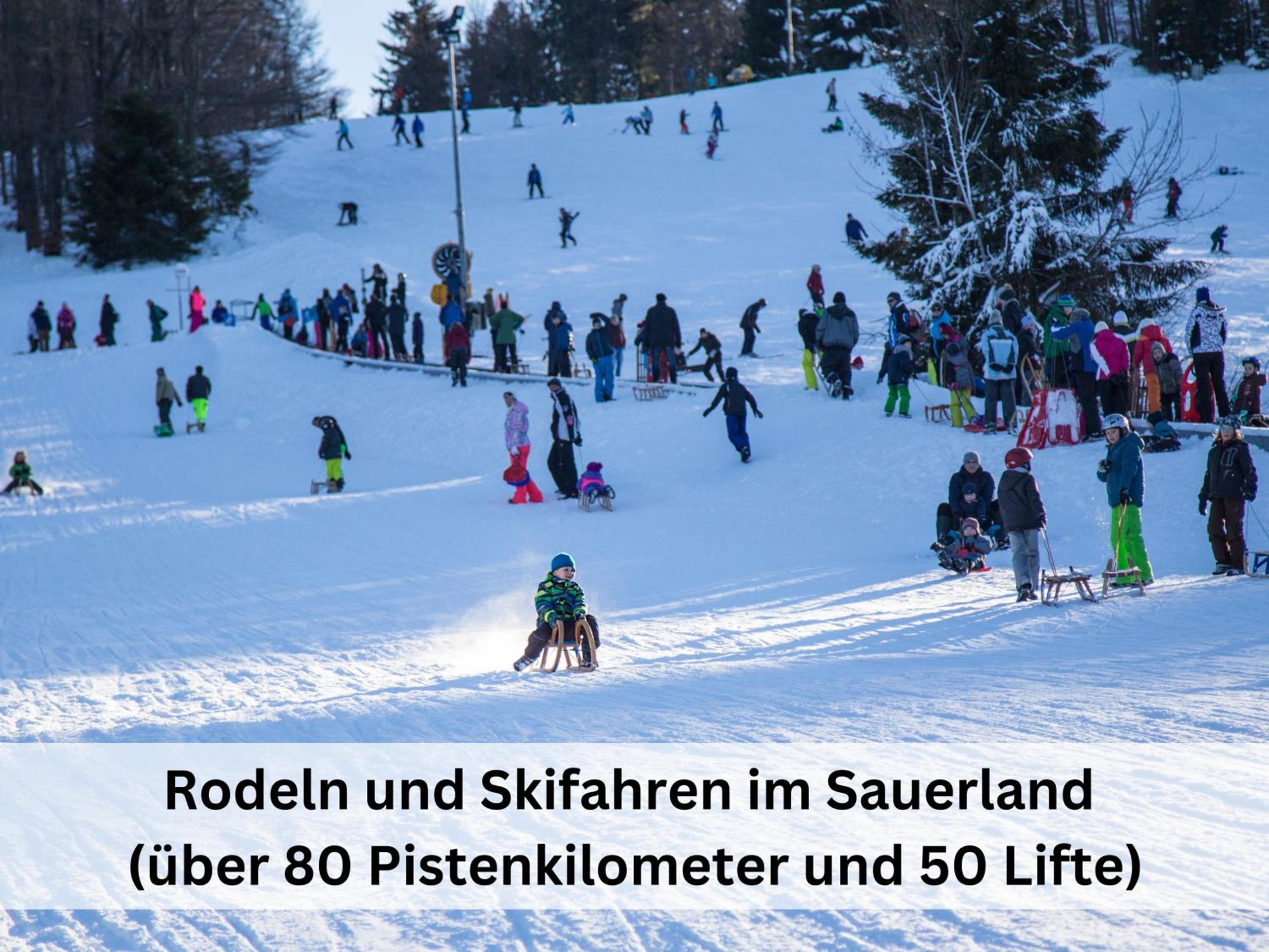 Ferienhaus Pape - 300m2, 17 Betten - mit großem privatem Garten, Pool, Dart, Sauna-, Grill- und Spielbereich - Ideal für Familien