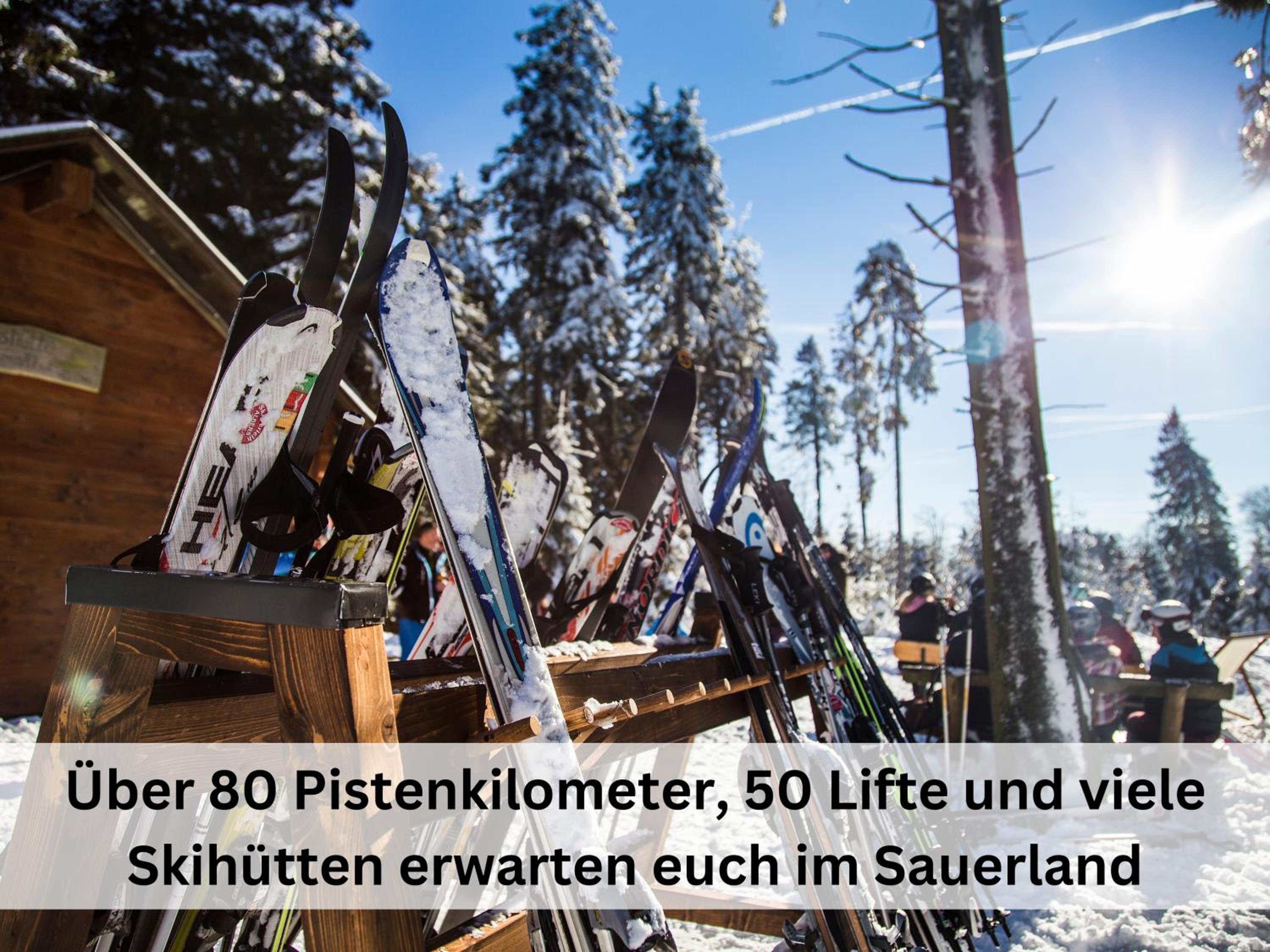 Ferienhaus Pape - 300m2, 17 Betten - mit großem privatem Garten, Pool, Dart, Sauna-, Grill- und Spielbereich - Ideal für Familien