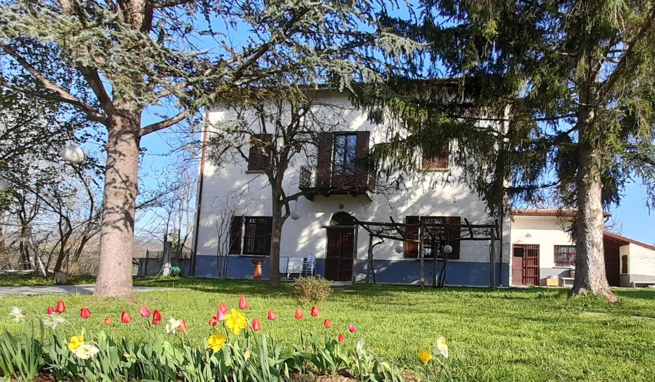 Photo 28