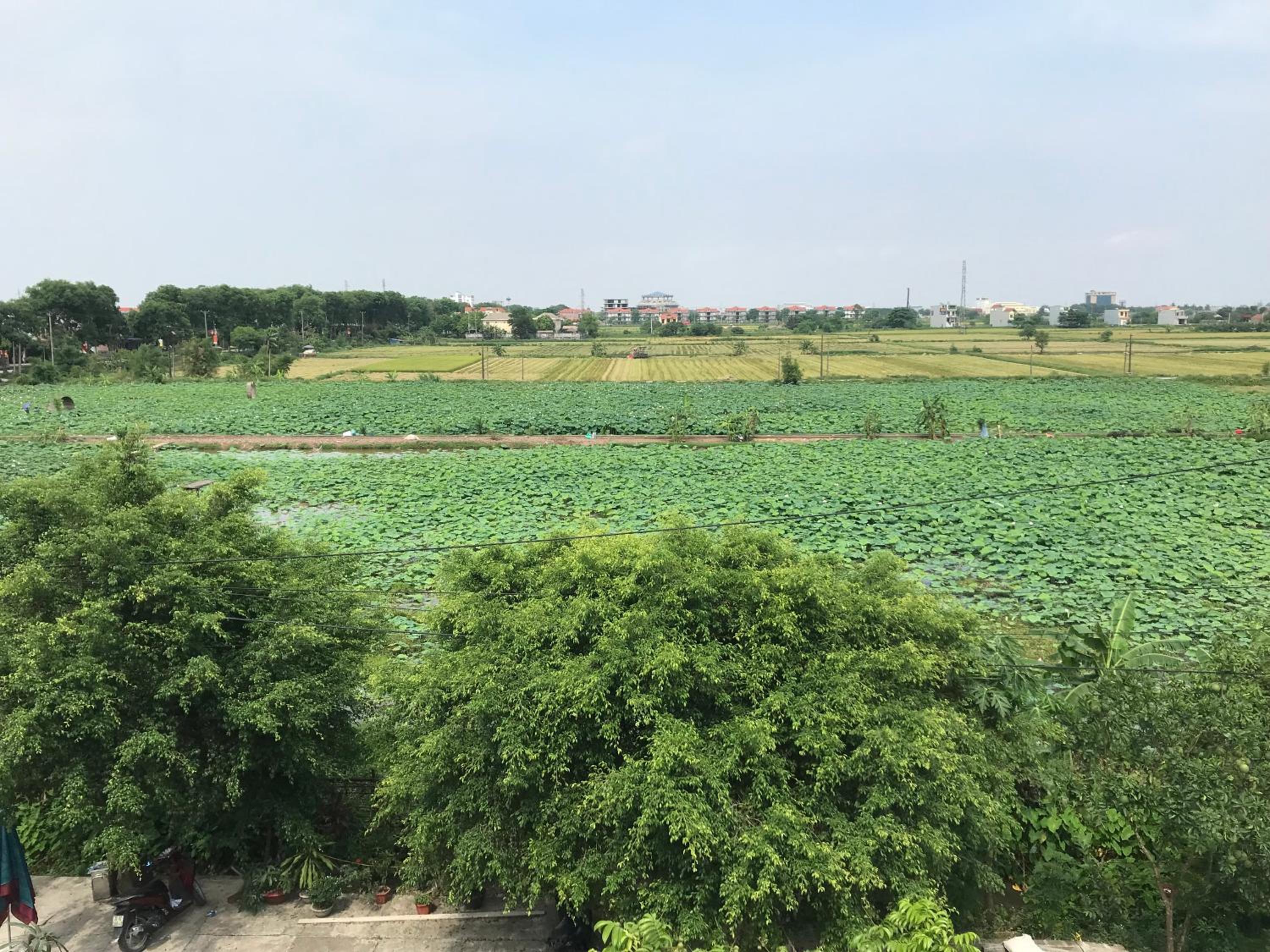 Hải Lê Tam Coc Happy Homestay