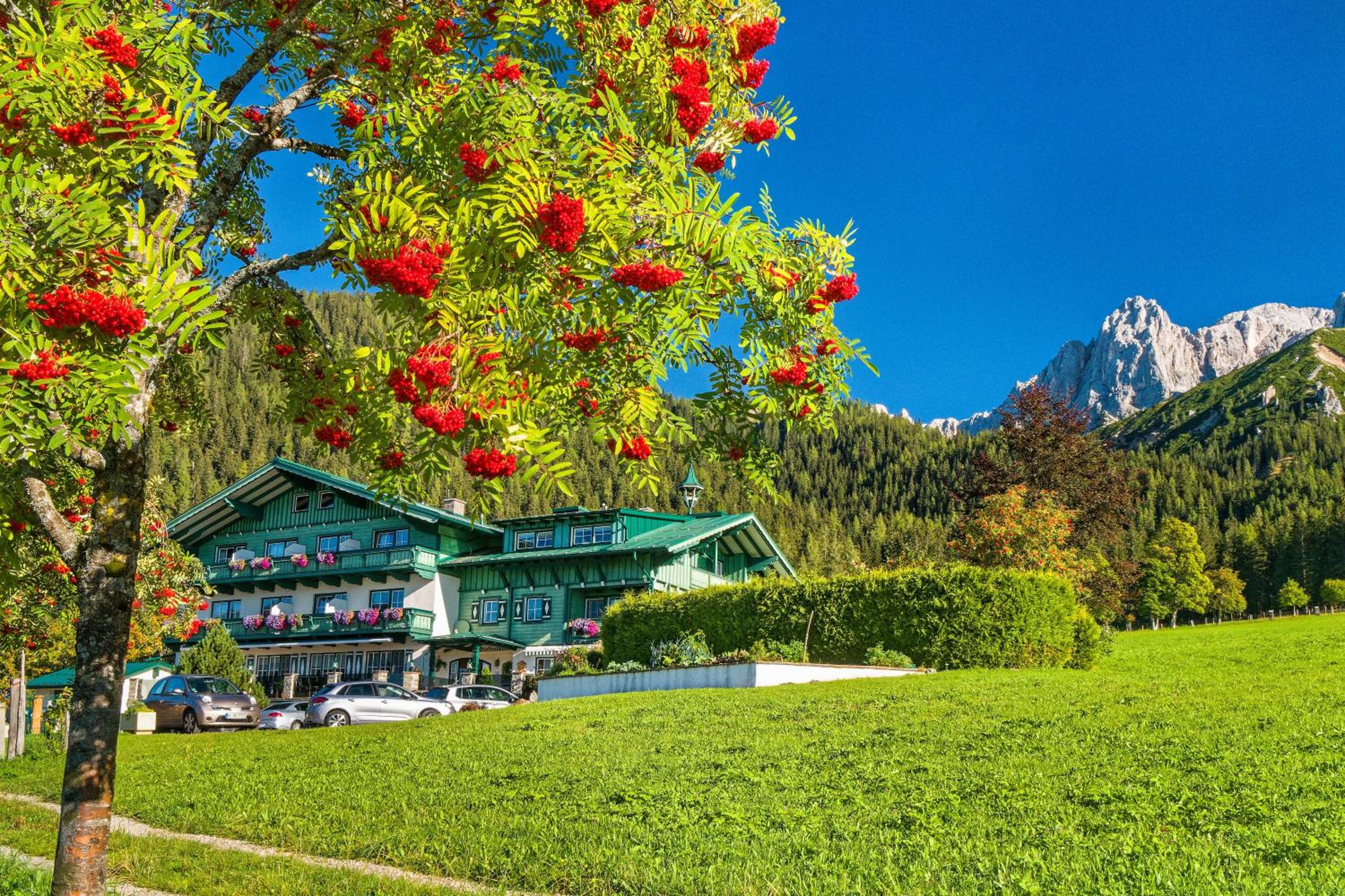Pension Stoffenbauer