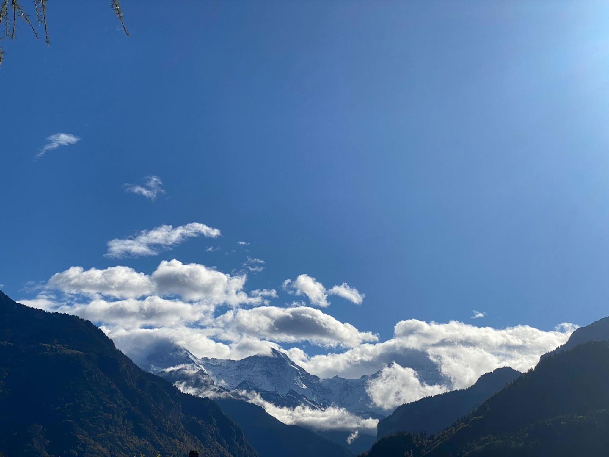 Unique Tiny Eco Lodges with gorgeous views to Jungfrau Massiv