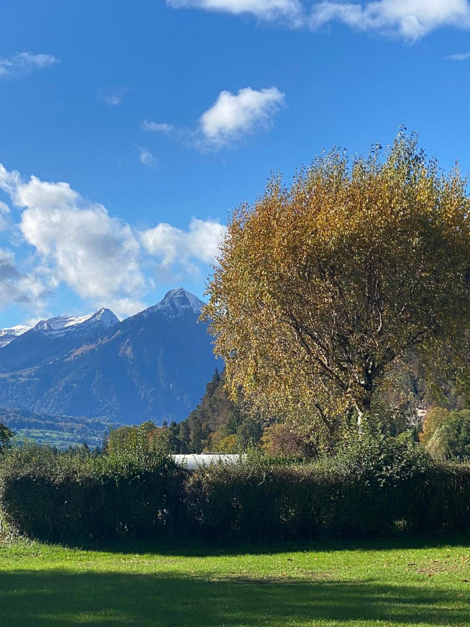 Unique Tiny Eco Lodges with gorgeous views to Jungfrau Massiv