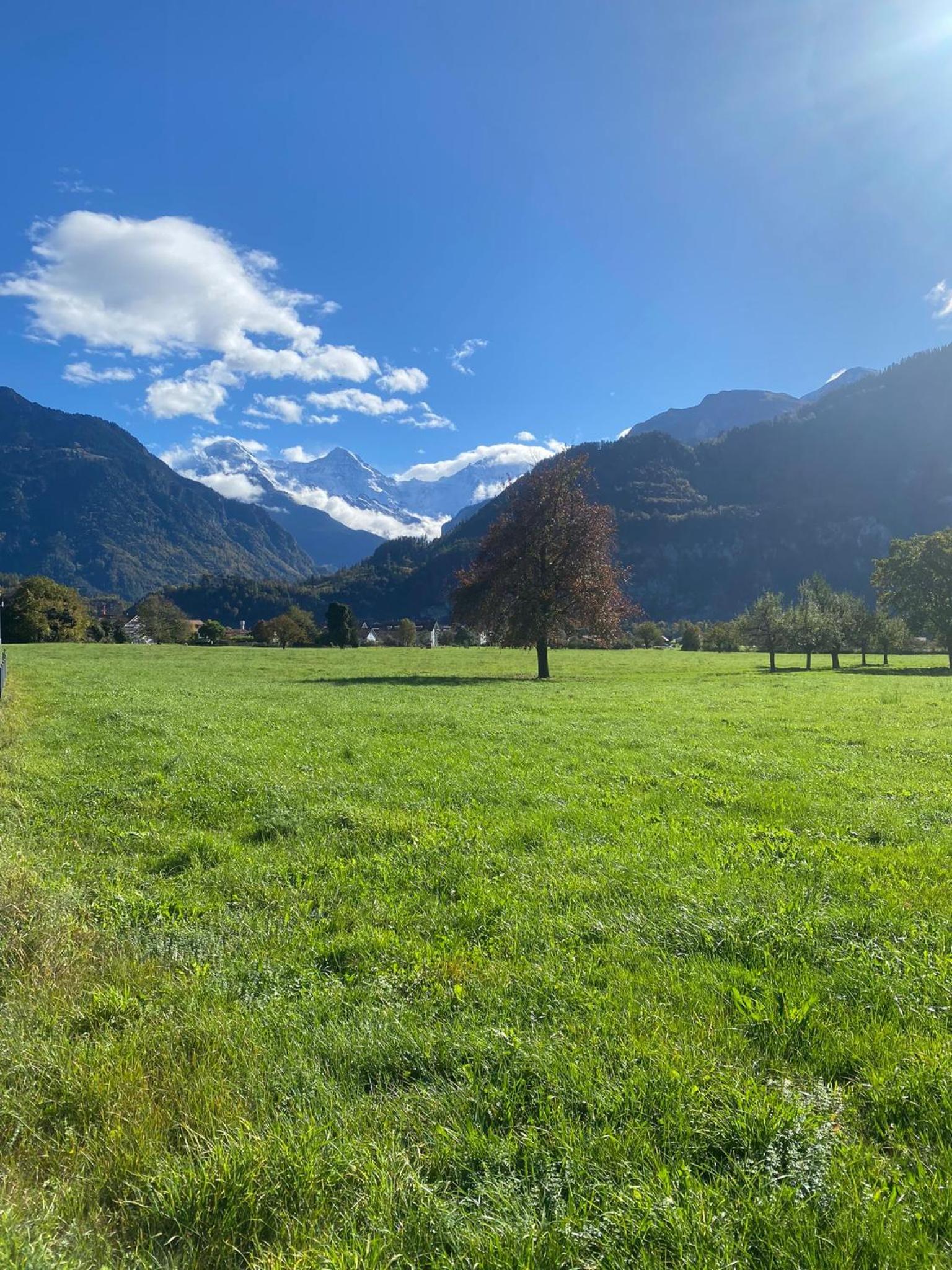 Unique Tiny Eco Lodges with gorgeous views to Jungfrau Massiv