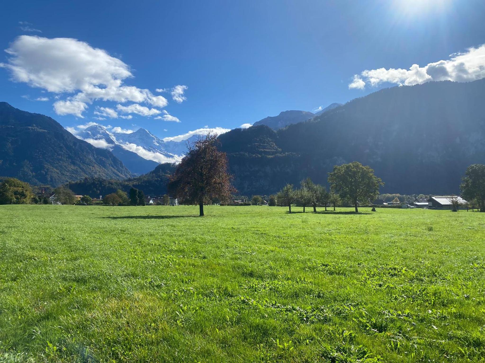 Unique Tiny Eco Lodges with gorgeous views to Jungfrau Massiv