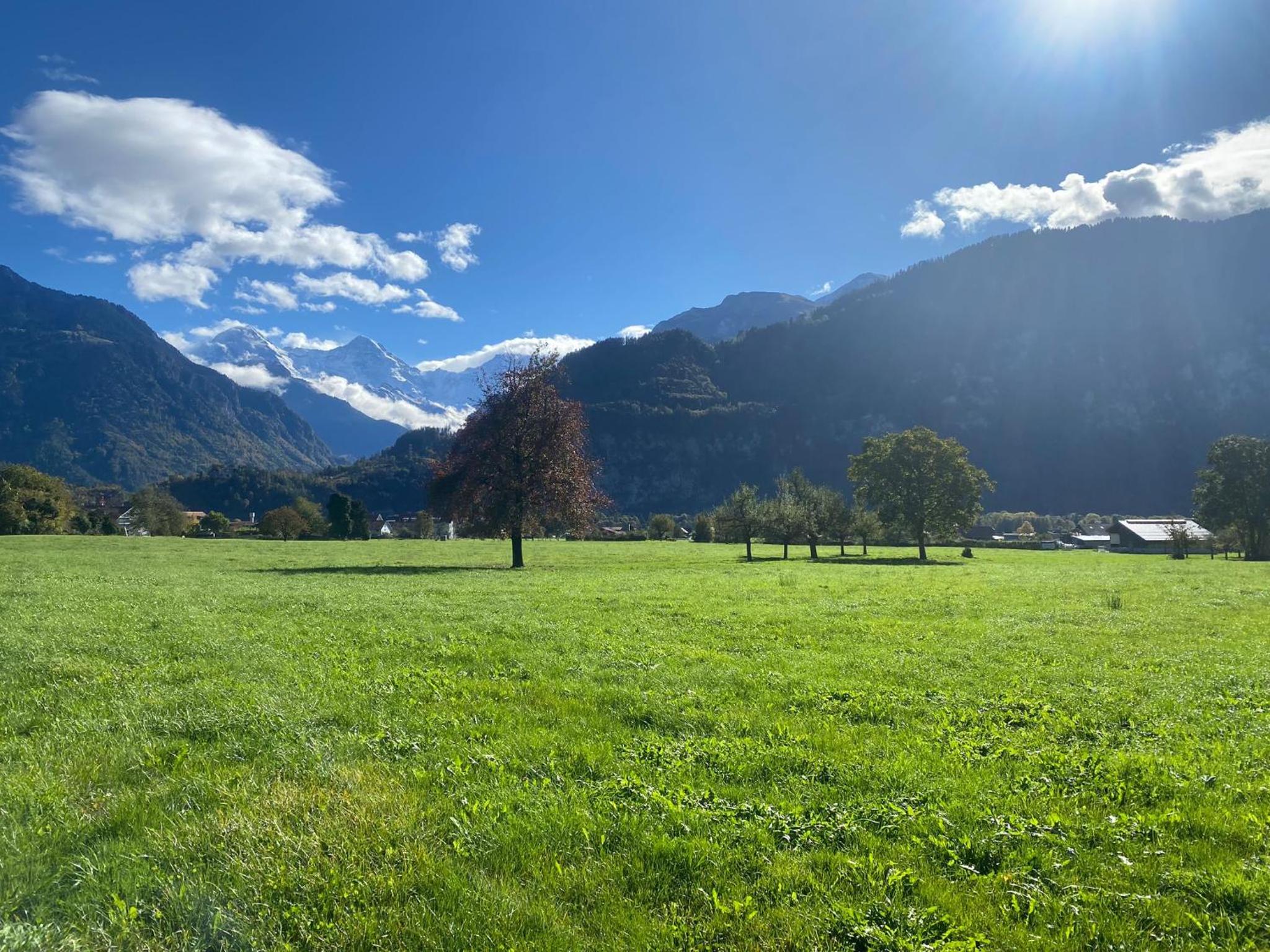 Unique Tiny Eco Lodges with gorgeous views to Jungfrau Massiv