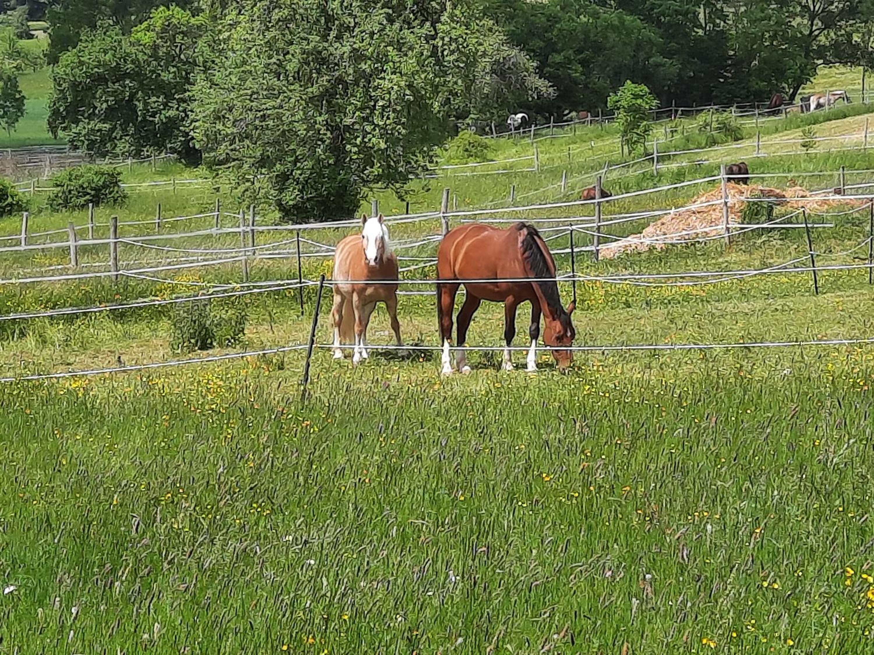 FeWo Zieger - Urlaub in Franken