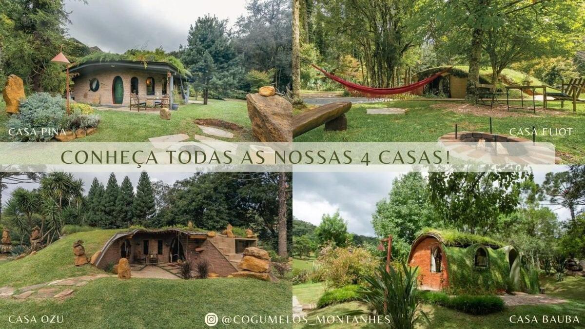Cogumelos Montanhês