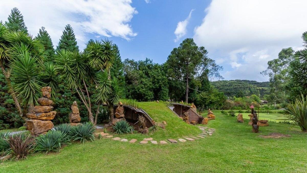 Cogumelos Montanhês