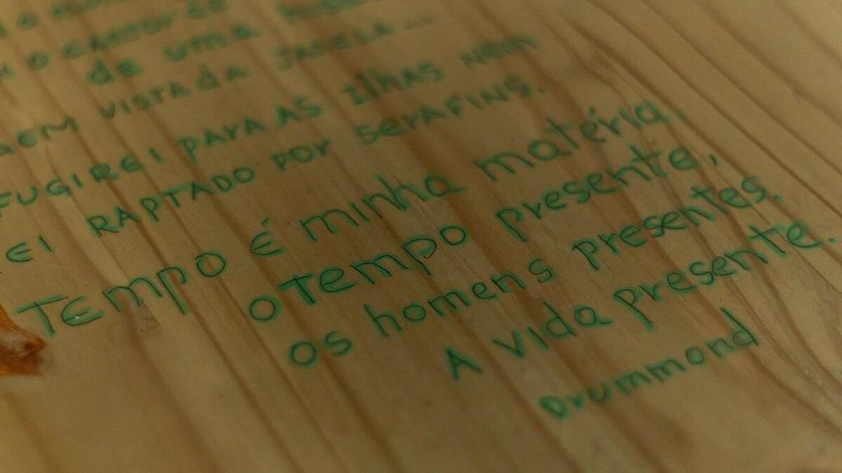 Cogumelos Montanhês