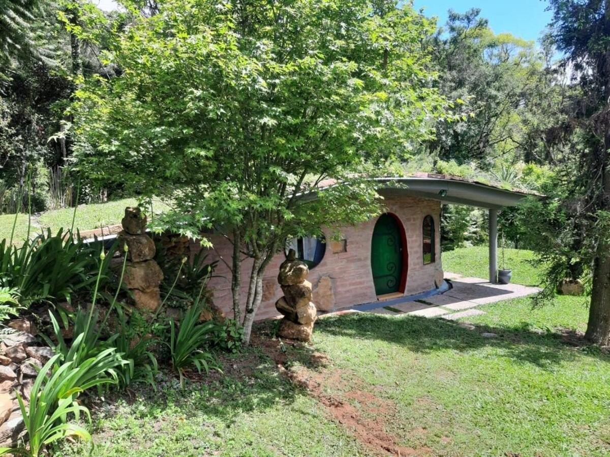 Cogumelos Montanhês