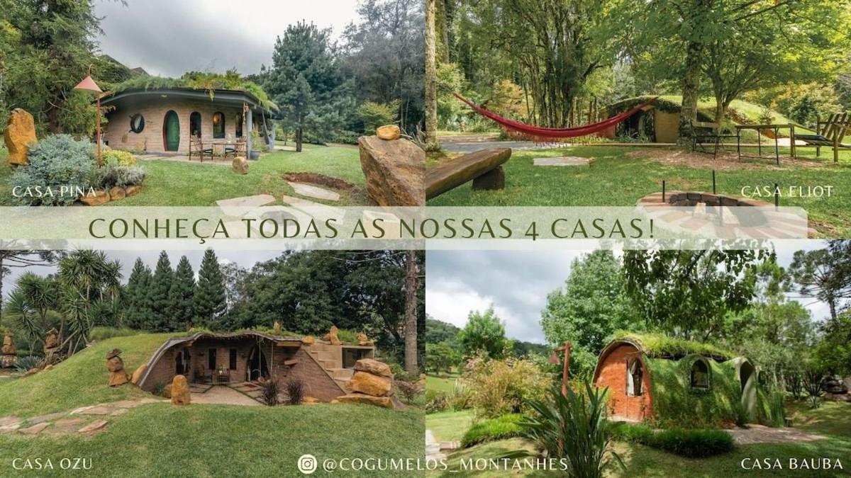 Cogumelos Montanhês