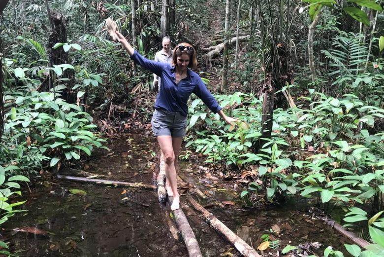 Metare Eco Hostal Amazonas