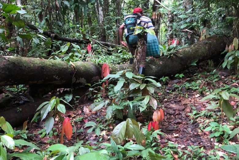 Metare Eco Hostal Amazonas