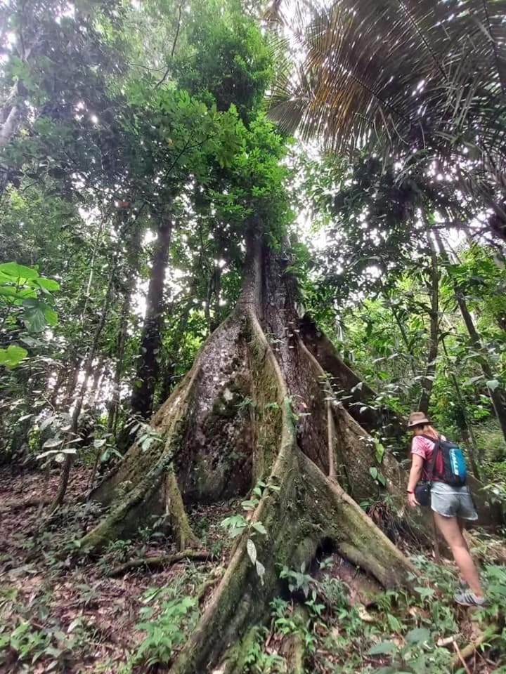 Metare Eco Hostal Amazonas