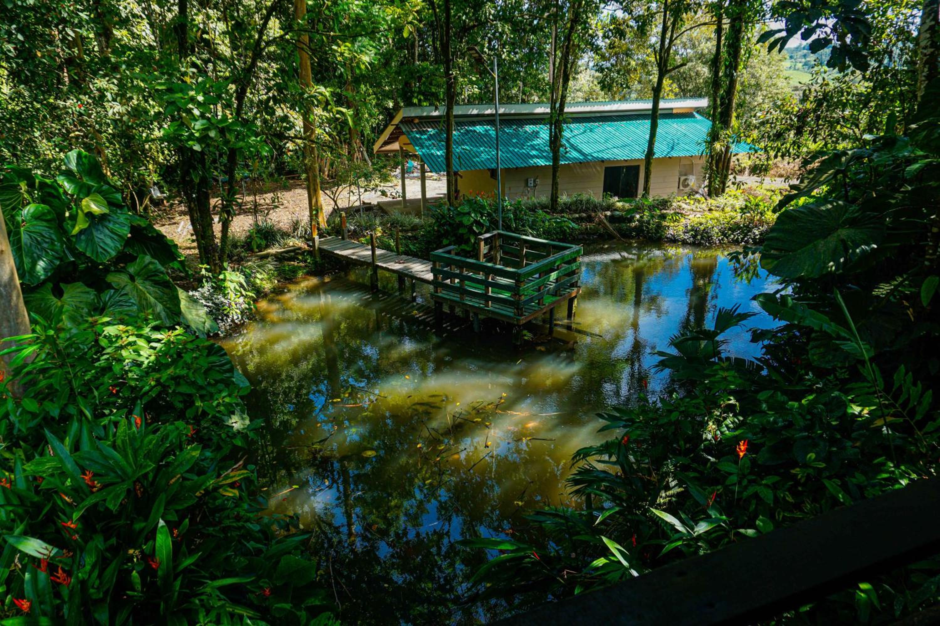 Casa Rancho Verde