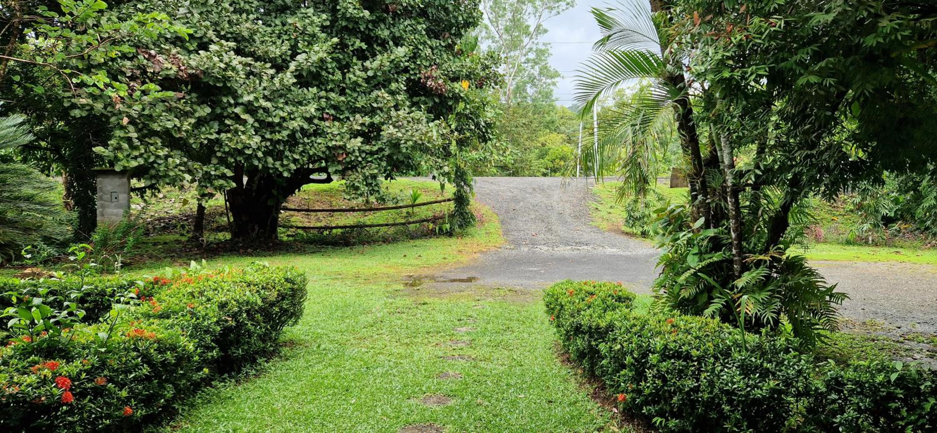 Finca Mamacita
