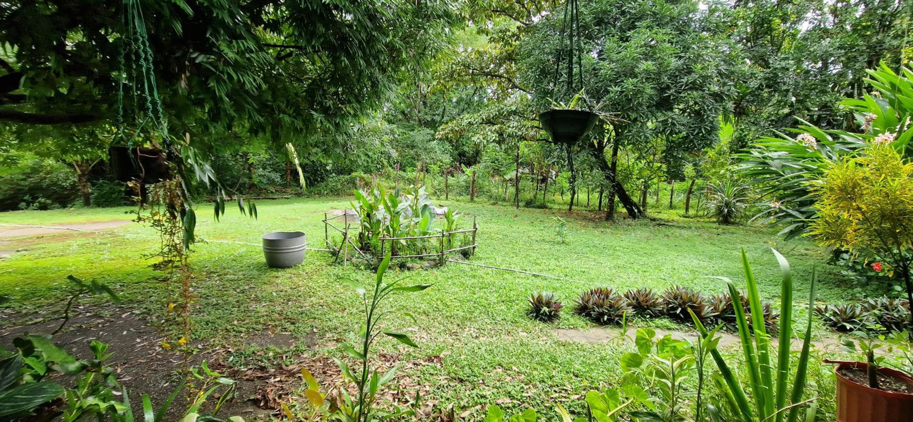 Finca Mamacita